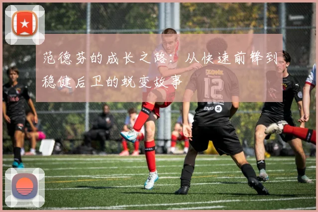 范德芬的成长之路：从快速前锋到稳健后卫的蜕变故事