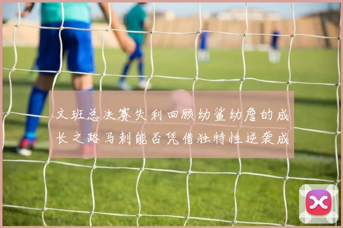 文班总决赛失利回顾幼鲨幼詹的成长之路马刺能否凭借独特性逆袭成功